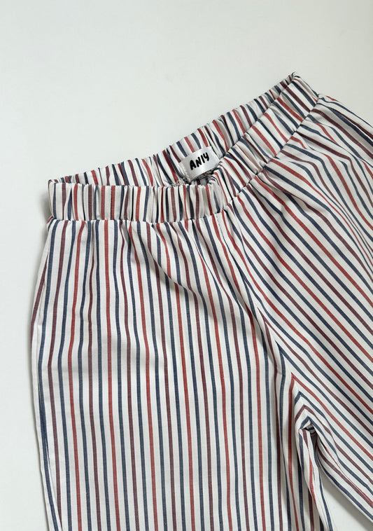 Earth tone stripe trousers