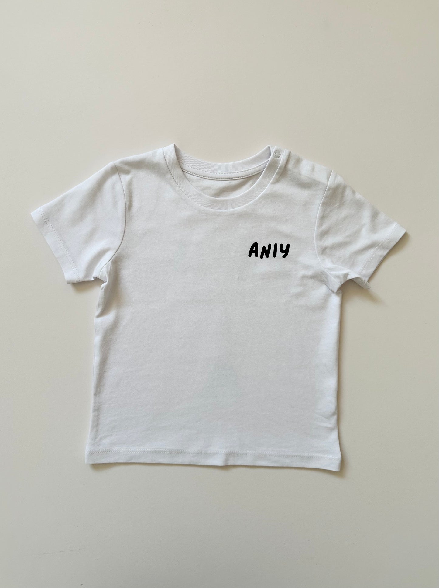 The Aniy Paris Tee